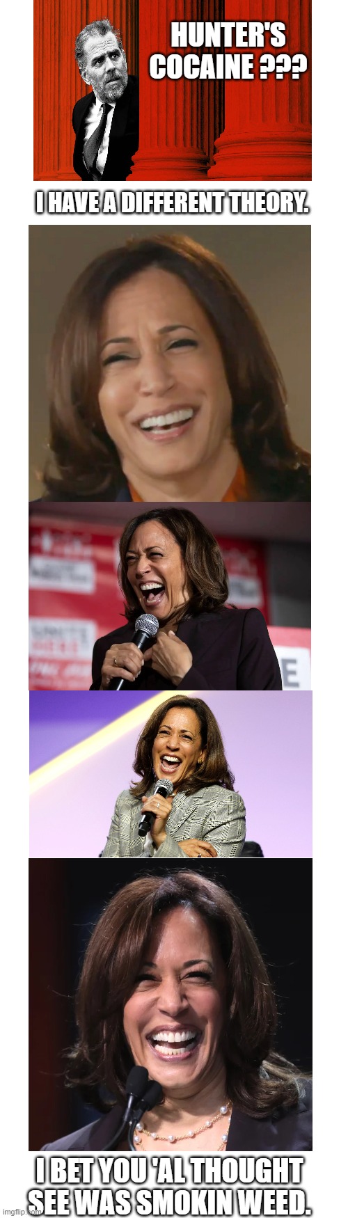 Hunter's Cocaine ??? | HUNTER'S COCAINE ??? I HAVE A DIFFERENT THEORY. I BET YOU 'AL THOUGHT SEE WAS SMOKIN WEED. | image tagged in memes,hunter,cocaine,kamala | made w/ Imgflip meme maker