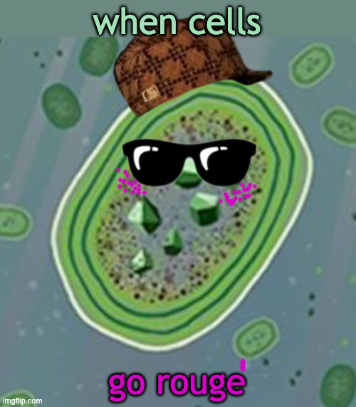 scumbag cyanobacteria | when cells go rouge | image tagged in scumbag cyanobacteria | made w/ Imgflip meme maker