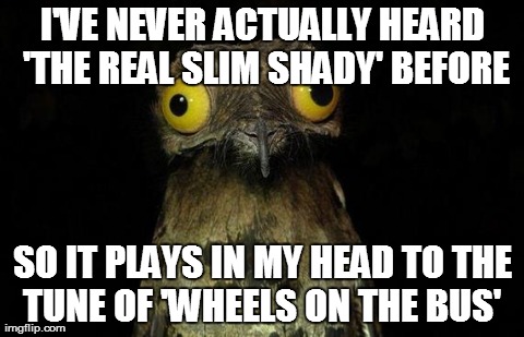 Weird Stuff I Do Potoo Meme | I'VE NEVER ACTUALLY HEARD 'THE REAL SLIM SHADY' BEFORE SO IT PLAYS IN MY HEAD TO THE TUNE OF 'WHEELS ON THE BUS' | image tagged in memes,weird stuff i do potoo,AdviceAnimals | made w/ Imgflip meme maker