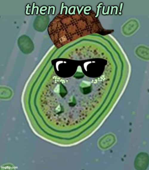 scumbag cyanobacteria | then have fun! | image tagged in scumbag cyanobacteria | made w/ Imgflip meme maker