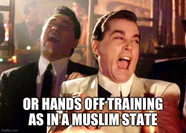 Goodfellas Laugh | OR HANDS OFF TRAINING AS IN A MUSLIM STATE | image tagged in goodfellas laugh | made w/ Imgflip meme maker