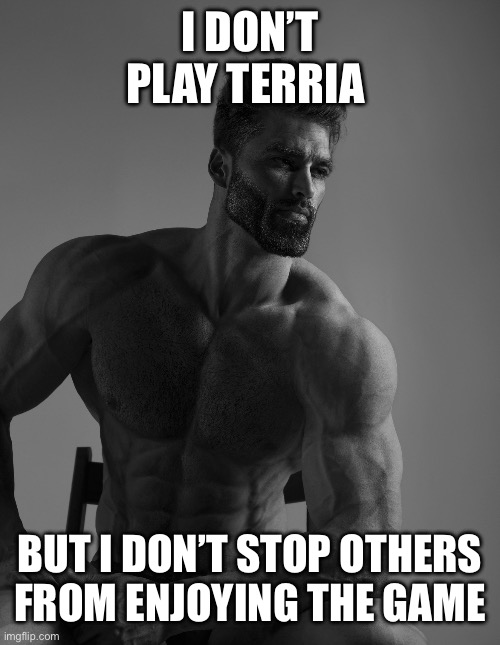 Giga Chad | I DON’T PLAY TERRIA BUT I DON’T STOP OTHERS FROM ENJOYING THE GAME | image tagged in giga chad | made w/ Imgflip meme maker