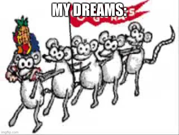 MY DREAMS: | image tagged in congo rats | made w/ Imgflip meme maker