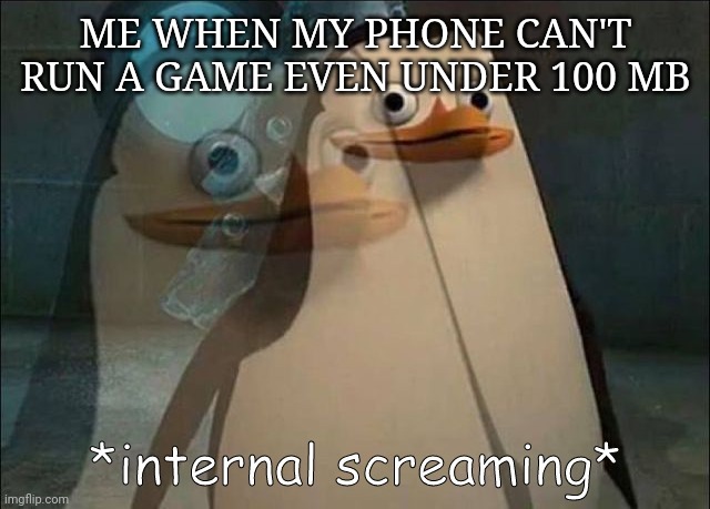 Private Internal Screaming | ME WHEN MY PHONE CAN'T RUN A GAME EVEN UNDER 100 MB | image tagged in private internal screaming | made w/ Imgflip meme maker