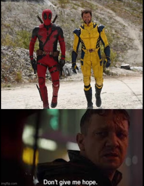 Dont Do That Disney! | image tagged in disney,mcu,deadpool,wolverine | made w/ Imgflip meme maker