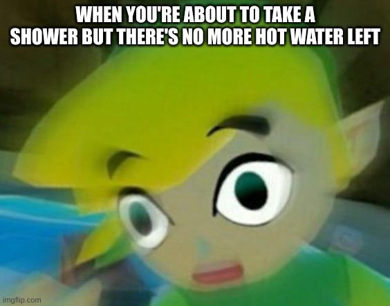 gotta go through the pain | WHEN YOU'RE ABOUT TO TAKE A SHOWER BUT THERE'S NO MORE HOT WATER LEFT | image tagged in panicking link,funny,memes,funny memes | made w/ Imgflip meme maker