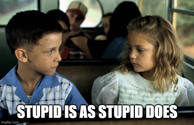 STUPID IS AS STUPID DOES | made w/ Imgflip meme maker