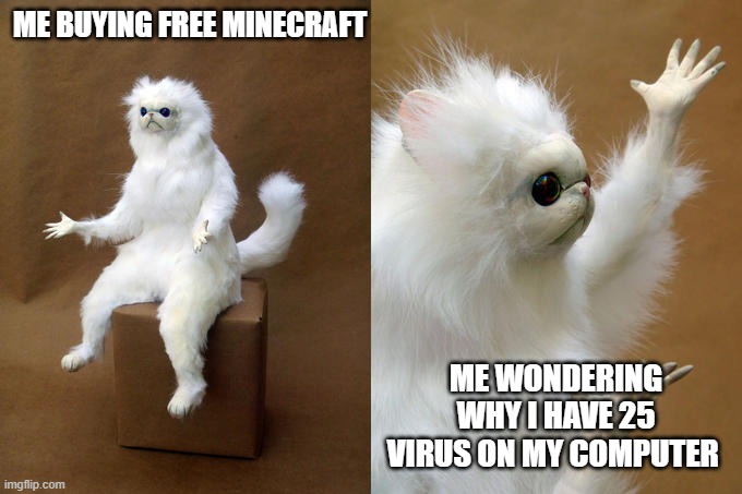 Persian Cat Room Guardian | ME BUYING FREE MINECRAFT; ME WONDERING WHY I HAVE 25 VIRUS ON MY COMPUTER | image tagged in memes,persian cat room guardian | made w/ Imgflip meme maker