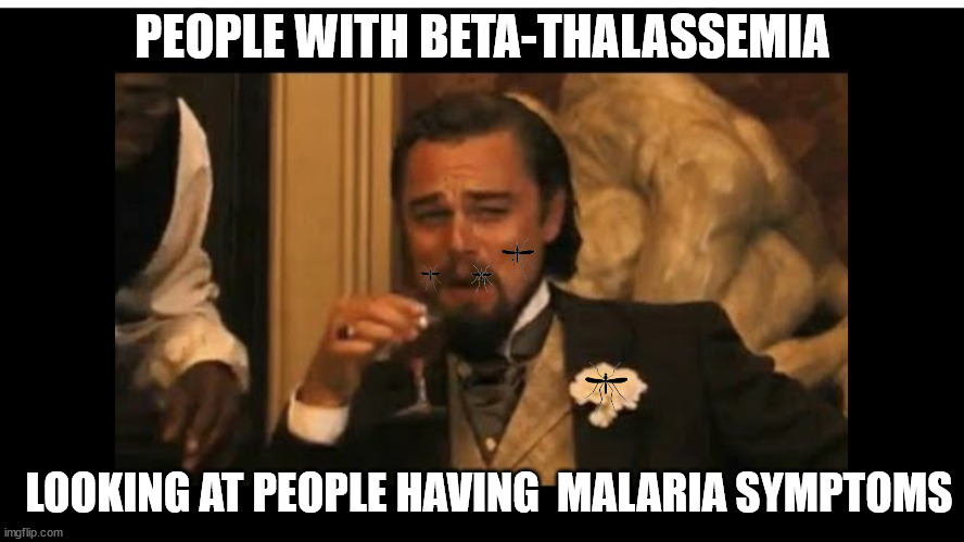 Darkest Darkness vs the moar you know | PEOPLE WITH BETA-THALASSEMIA; LOOKING AT PEOPLE HAVING  MALARIA SYMPTOMS | image tagged in leonardo di caprio,beta-thalassemia,malaria,blood disease,mediterranean | made w/ Imgflip meme maker