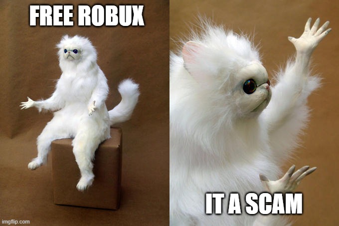 Persian Cat Room Guardian Meme | FREE ROBUX; IT A SCAM | image tagged in memes,persian cat room guardian | made w/ Imgflip meme maker