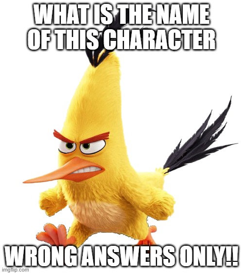 WHAT IS THE NAME OF THIS CHARACTER; WRONG ANSWERS ONLY!! | image tagged in angry birds | made w/ Imgflip meme maker