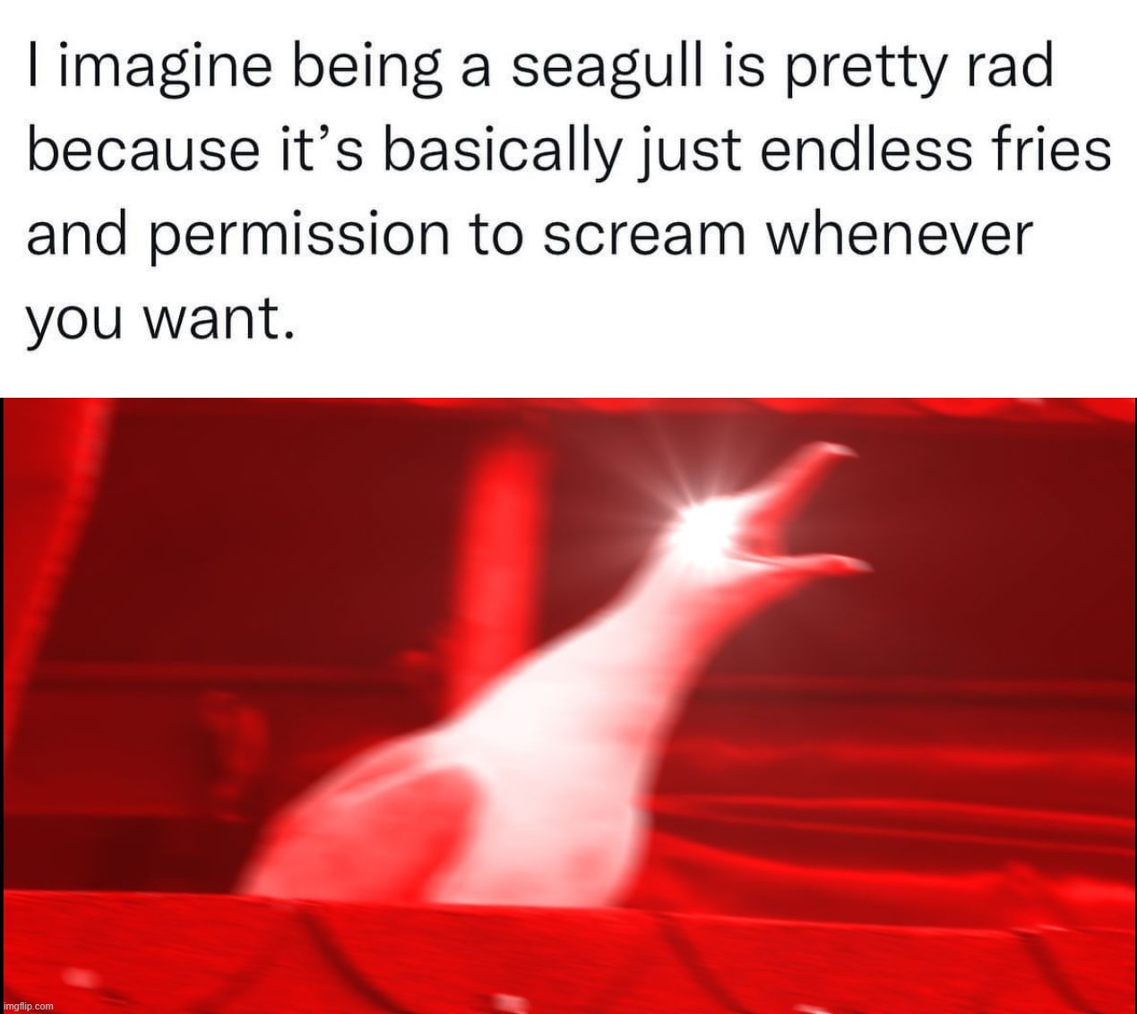eating | image tagged in memes,inhaling seagull | made w/ Imgflip meme maker