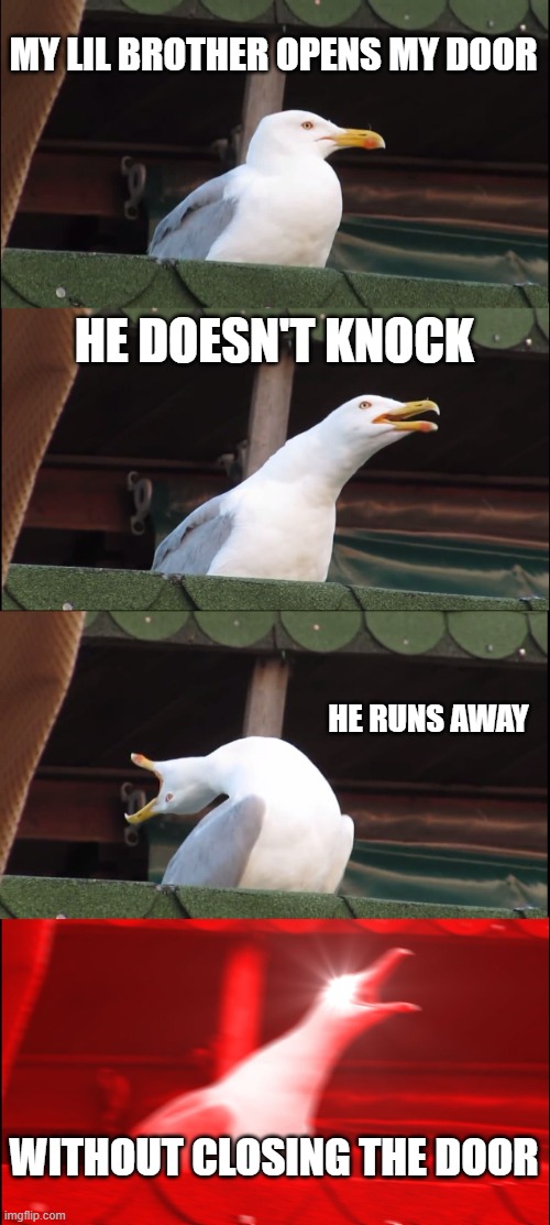 Inhaling Seagull | MY LIL BROTHER OPENS MY DOOR; HE DOESN'T KNOCK; HE RUNS AWAY; WITHOUT CLOSING THE DOOR | image tagged in memes,inhaling seagull | made w/ Imgflip meme maker