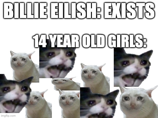 NOboDy UNdeRStAndS ME!!111!1!1 | BILLIE EILISH: EXISTS; 14 YEAR OLD GIRLS: | image tagged in memes,dank memes,funny memes | made w/ Imgflip meme maker