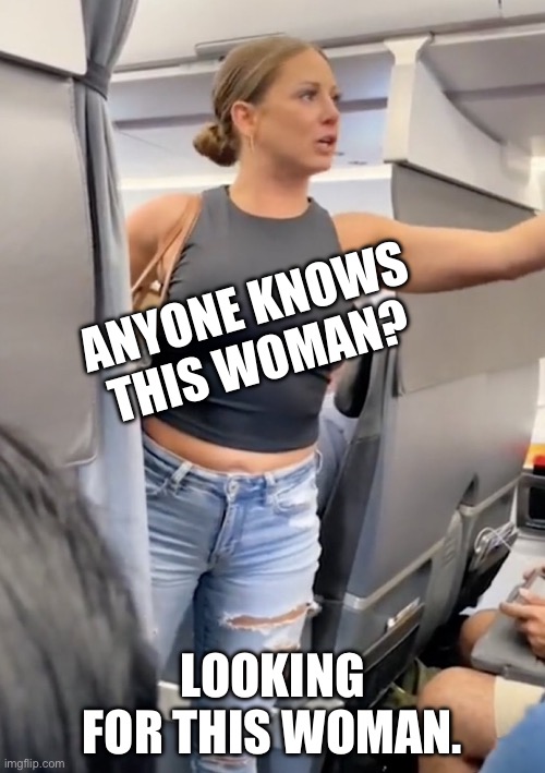 Airplane woman. | ANYONE KNOWS THIS WOMAN? LOOKING FOR THIS WOMAN. | image tagged in fun,lol | made w/ Imgflip meme maker