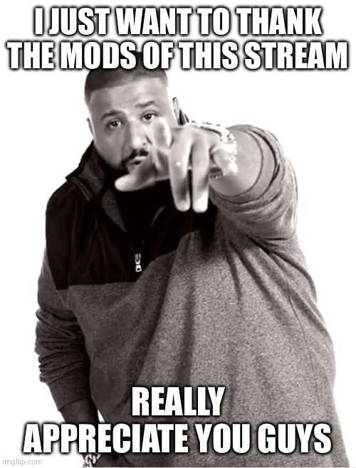 Thank you letter to mods | I JUST WANT TO THANK THE MODS OF THIS STREAM; REALLY APPRECIATE YOU GUYS | image tagged in i appreciate you | made w/ Imgflip meme maker