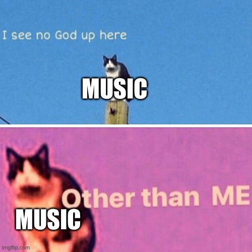 Hail pole cat | MUSIC MUSIC | image tagged in hail pole cat | made w/ Imgflip meme maker