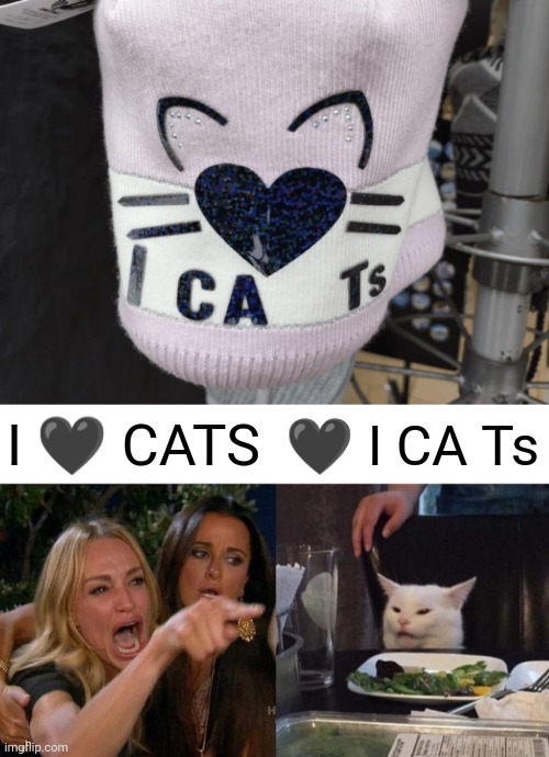 Love I CA Ts | I 🖤 CATS; 🖤 I CA Ts | image tagged in memes,woman yelling at cat,cats,you had one job,crappy design,cat | made w/ Imgflip meme maker