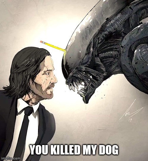 John Wick vs Alien | YOU KILLED MY DOG | image tagged in john wick,alien,xenomorph,mashup,action movies,sci-fi | made w/ Imgflip meme maker