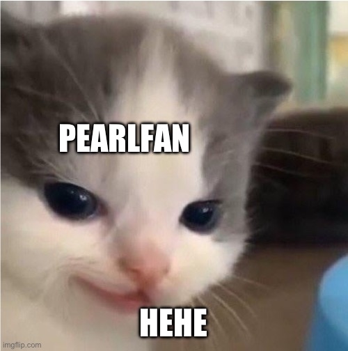 Hehe cat | PEARLFAN HEHE | image tagged in hehe cat | made w/ Imgflip meme maker