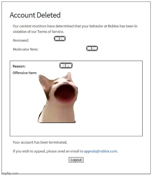 Getting Banned For Cats | MEOW; MEOW; MEOW | image tagged in banned from roblox,bruh moment,meow,cat,cats | made w/ Imgflip meme maker