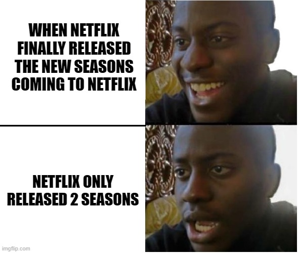 I'm disappointed | WHEN NETFLIX FINALLY RELEASED THE NEW SEASONS COMING TO NETFLIX; NETFLIX ONLY RELEASED 2 SEASONS | image tagged in one piece,dissapointed,anime,fyp,funny,wow | made w/ Imgflip meme maker