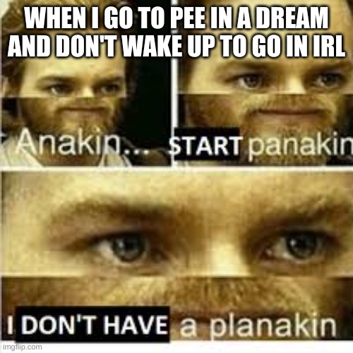 OH SH- | WHEN I GO TO PEE IN A DREAM AND DON'T WAKE UP TO GO IN IRL | image tagged in anikan start panikan i dont have a planikan | made w/ Imgflip meme maker