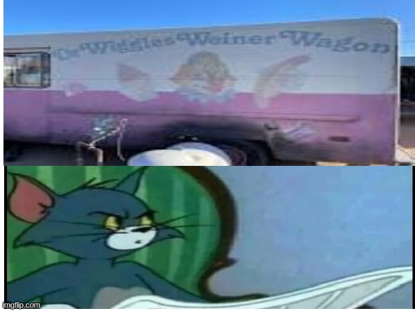 THAT'S THE NAME YOU COME UP WITH?? | image tagged in tom and jerry | made w/ Imgflip meme maker