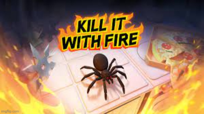 Kill it with fire | image tagged in kill it with fire | made w/ Imgflip meme maker