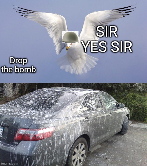 SIR YES SIR; Drop the bomb | image tagged in memes | made w/ Imgflip meme maker
