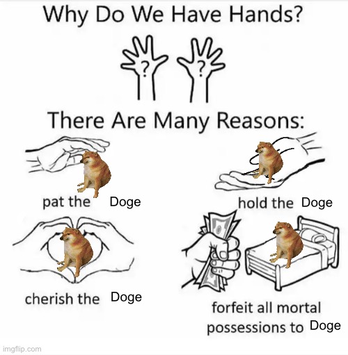 Doge | Doge; Doge; Doge; Doge | image tagged in why do we have hands all blank | made w/ Imgflip meme maker