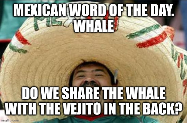 mexican word of the day | MEXICAN WORD OF THE DAY.
WHALE; DO WE SHARE THE WHALE WITH THE VEJITO IN THE BACK? | image tagged in mexican word of the day | made w/ Imgflip meme maker