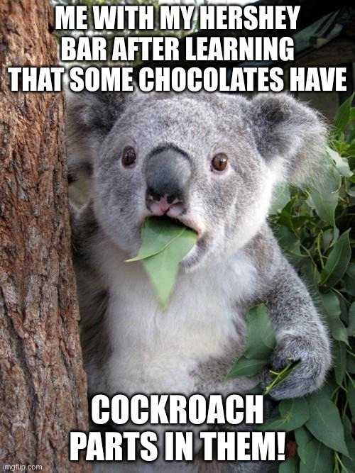 This is true (i think). | ME WITH MY HERSHEY BAR AFTER LEARNING THAT SOME CHOCOLATES HAVE; COCKROACH PARTS IN THEM! | image tagged in memes,surprised koala | made w/ Imgflip meme maker