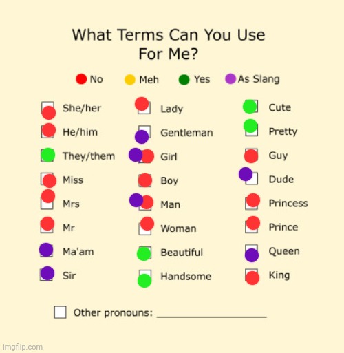 Full gender post later | image tagged in pronouns sheet | made w/ Imgflip meme maker