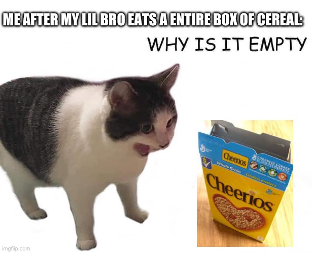 How does he do it? | ME AFTER MY LIL BRO EATS A ENTIRE BOX OF CEREAL: | image tagged in why is it empty | made w/ Imgflip meme maker
