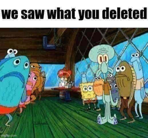 we saw what you deleted | image tagged in we saw what you deleted | made w/ Imgflip meme maker