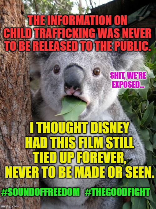 Surprised Koala Meme | THE INFORMATION ON CHILD TRAFFICKING WAS NEVER TO BE RELEASED TO THE PUBLIC. SHIT, WE'RE EXPOSED... I THOUGHT DISNEY HAD THIS FILM STILL TIED UP FOREVER, NEVER TO BE MADE OR SEEN. #SOUNDOFFREEDOM   #THEGOODFIGHT | image tagged in memes,surprised koala | made w/ Imgflip meme maker