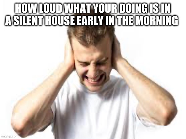 HOW LOUD WHAT YOUR DOING IS IN A SILENT HOUSE EARLY IN THE MORNING | image tagged in funny | made w/ Imgflip meme maker
