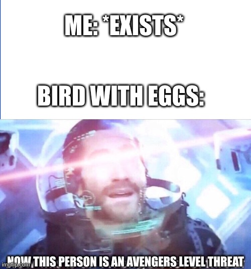 ME: *EXISTS* BIRD WITH EGGS: NOW THIS PERSON IS AN AVENGERS LEVEL THREAT | image tagged in wite screen,now this is an avengers level threat | made w/ Imgflip meme maker