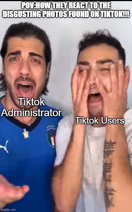 POV:How They React to the Disgusting Photos found on TikTok | POV:HOW THEY REACT TO THE DISGUSTING PHOTOS FOUND ON TIKTOK!!! Tiktok Administrator; Tiktok Users | image tagged in lionfield screams,lionfield,scream,memes,shitpost,tiktok | made w/ Imgflip meme maker