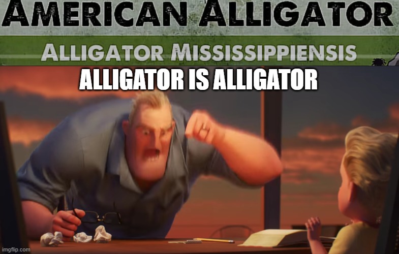 ALLIGATOR IS ALLIGATOR | ALLIGATOR IS ALLIGATOR | image tagged in math is math | made w/ Imgflip meme maker
