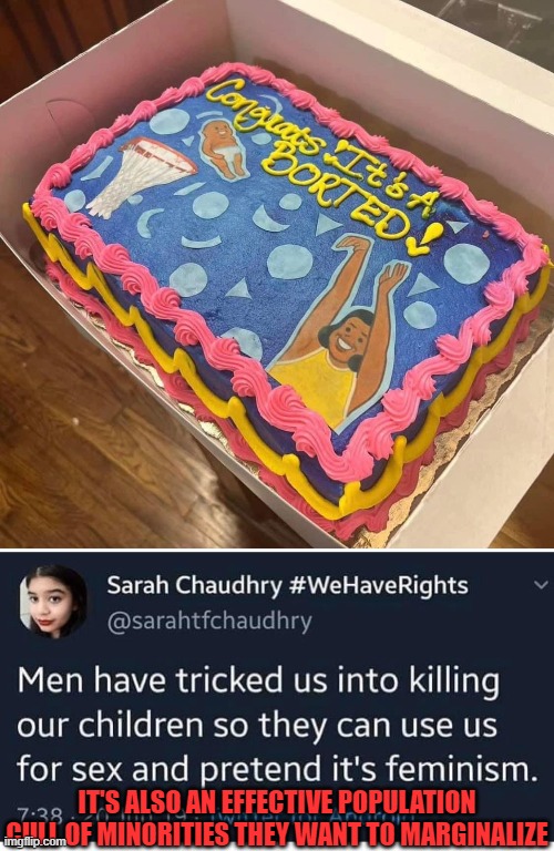 So in that sense, it can be sexist, racist, AND classist disguised as feminist. Esp where they abort girls to have more boys. | IT'S ALSO AN EFFECTIVE POPULATION CULL OF MINORITIES THEY WANT TO MARGINALIZE | image tagged in racism,sexism,classism,abortion,feminism,cake | made w/ Imgflip meme maker
