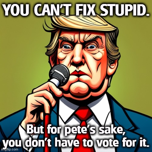But his boxes! | YOU CAN'T FIX STUPID. But for pete's sake, you don't have to vote for it. | image tagged in trump,stupid,childish,bully | made w/ Imgflip meme maker