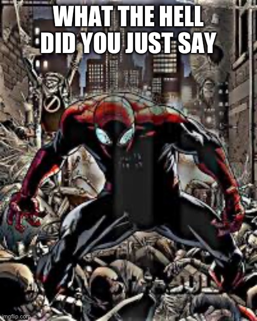 grrr | WHAT THE HELL DID YOU JUST SAY | image tagged in spiderman | made w/ Imgflip meme maker