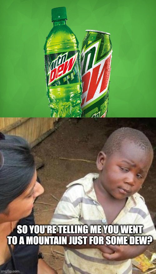 So You're Telling Me | SO YOU'RE TELLING ME YOU WENT TO A MOUNTAIN JUST FOR SOME DEW? | image tagged in so you're telling me | made w/ Imgflip meme maker