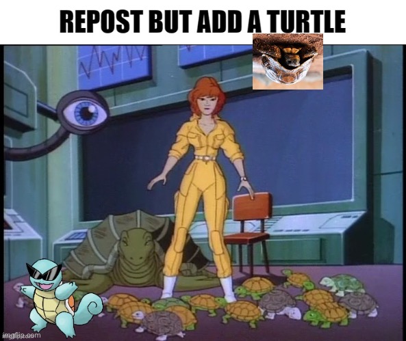 do it | image tagged in turtle,repost | made w/ Imgflip meme maker