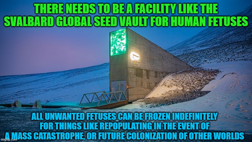 THERE NEEDS TO BE A FACILITY LIKE THE SVALBARD GLOBAL SEED VAULT FOR HUMAN FETUSES ALL UNWANTED FETUSES CAN BE FROZEN INDEFINITELY FOR THING | made w/ Imgflip meme maker