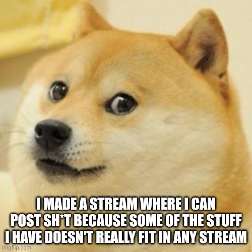 wow doge | I MADE A STREAM WHERE I CAN POST SH*T BECAUSE SOME OF THE STUFF I HAVE DOESN'T REALLY FIT IN ANY STREAM | image tagged in wow doge | made w/ Imgflip meme maker