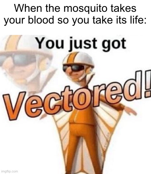 this happened on a thursday | When the mosquito takes your blood so you take its life: | image tagged in you just got vectored | made w/ Imgflip meme maker