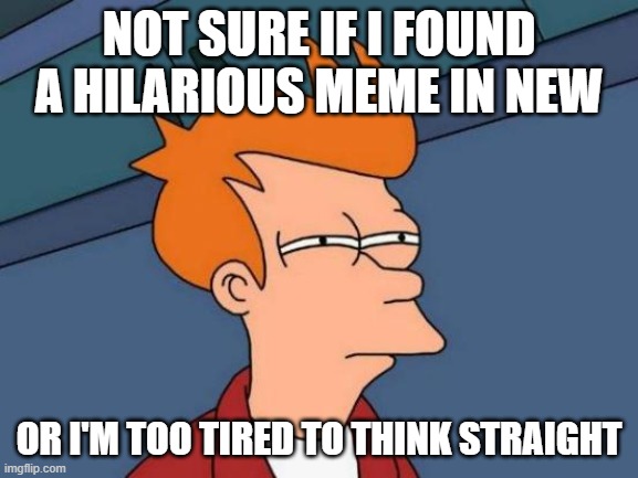 Futurama Fry Meme | NOT SURE IF I FOUND A HILARIOUS MEME IN NEW OR I'M TOO TIRED TO THINK STRAIGHT | image tagged in memes,futurama fry | made w/ Imgflip meme maker